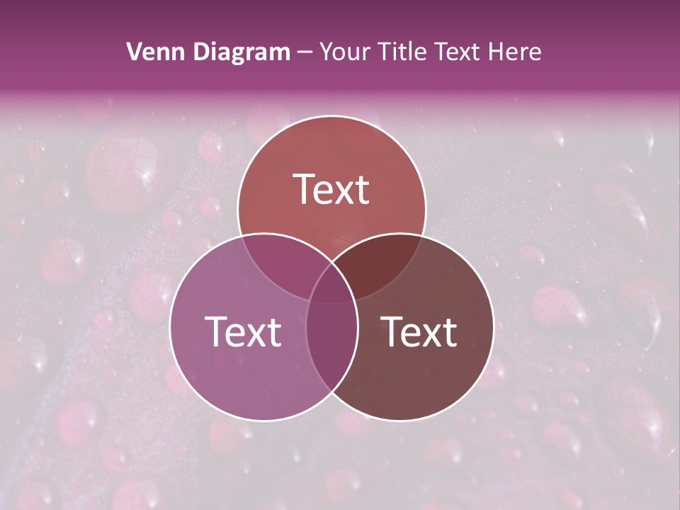 Bloom Colorful Life PowerPoint Template