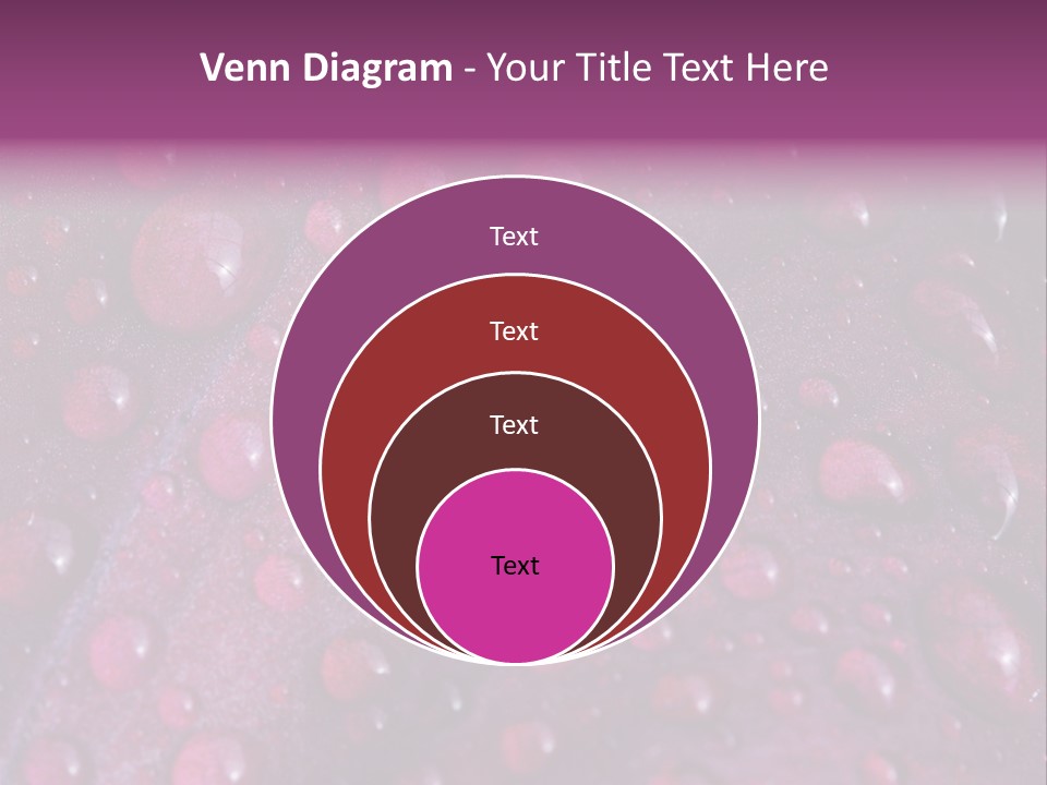 Bloom Colorful Life PowerPoint Template