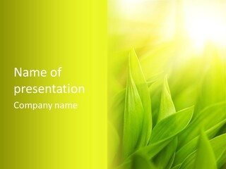 Harmony Nature Plant PowerPoint Template