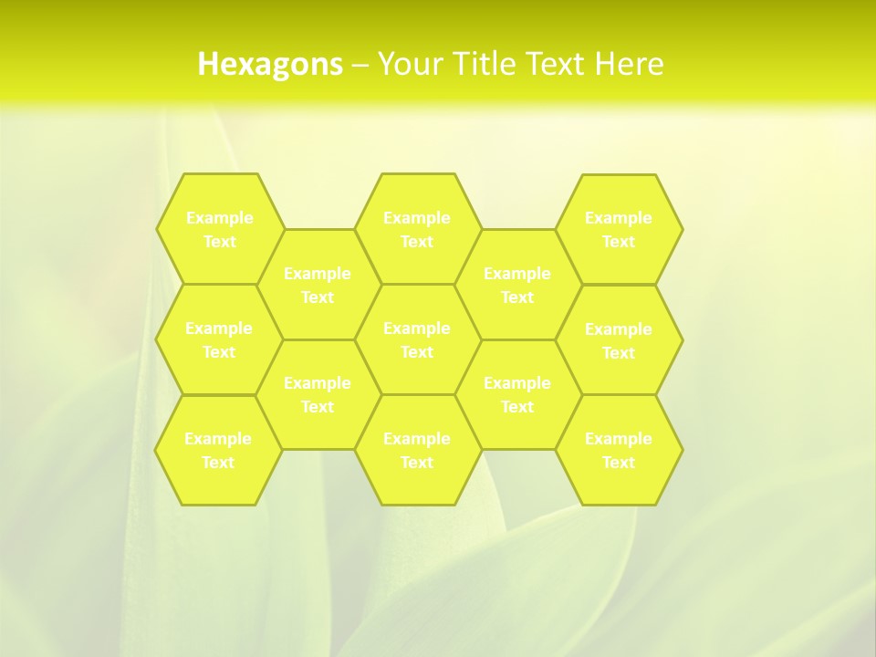 Harmony Nature Plant PowerPoint Template