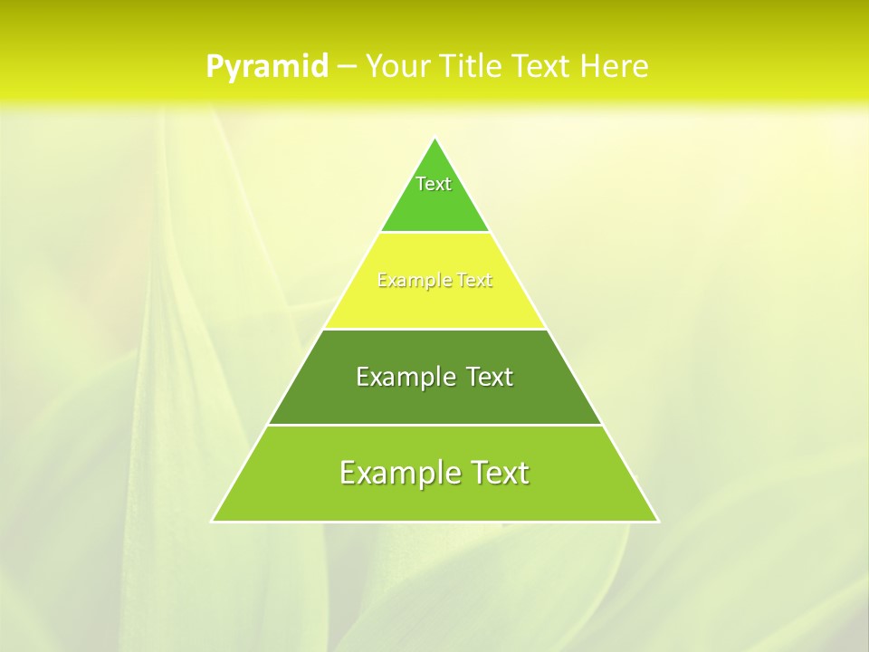 Harmony Nature Plant PowerPoint Template
