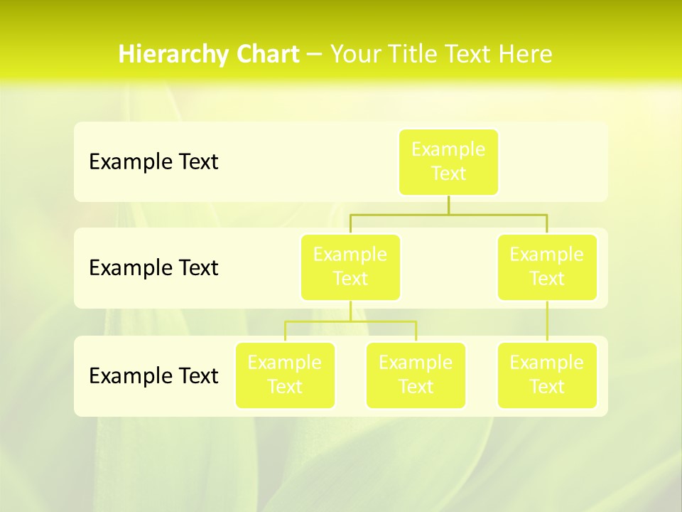 Harmony Nature Plant PowerPoint Template