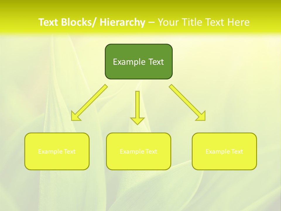 Harmony Nature Plant PowerPoint Template