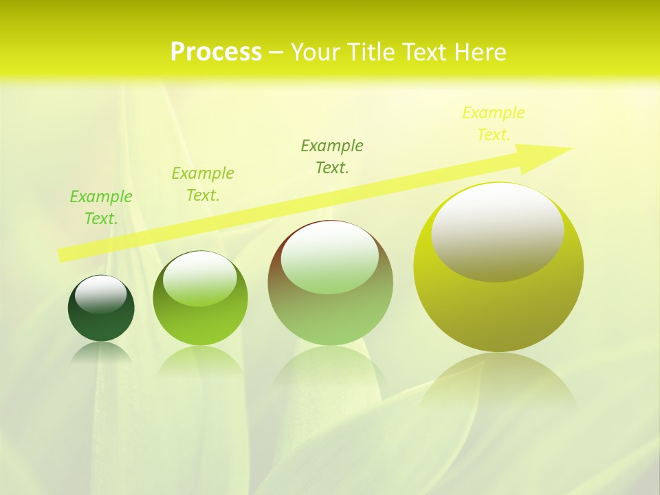 Harmony Nature Plant PowerPoint Template