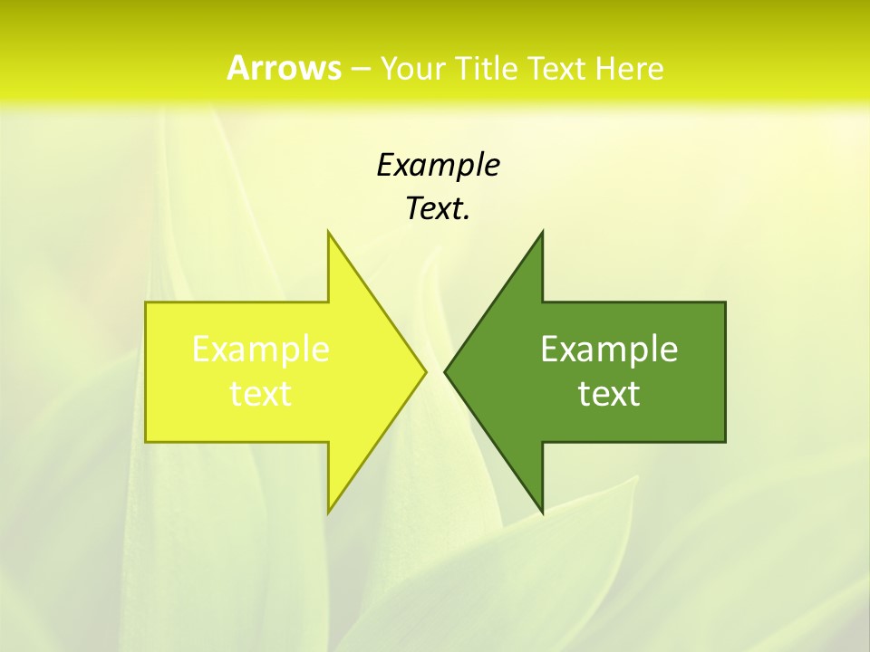 Harmony Nature Plant PowerPoint Template