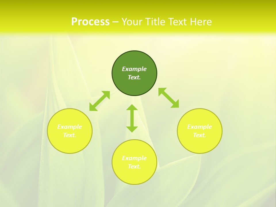 Harmony Nature Plant PowerPoint Template