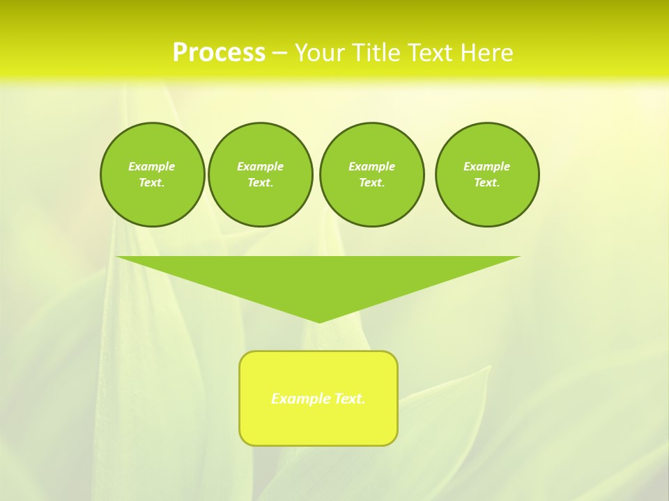 Harmony Nature Plant PowerPoint Template
