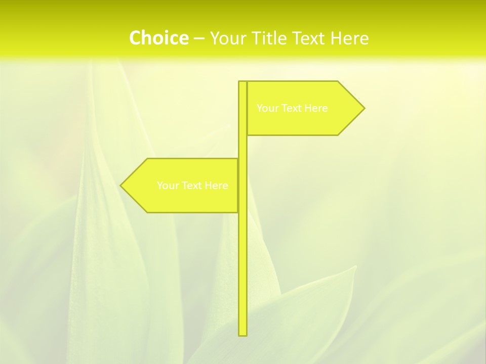 Harmony Nature Plant PowerPoint Template