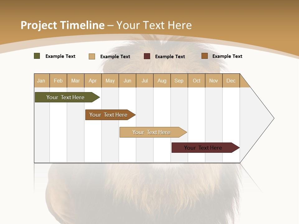 Animals Wildlife Predator PowerPoint Template