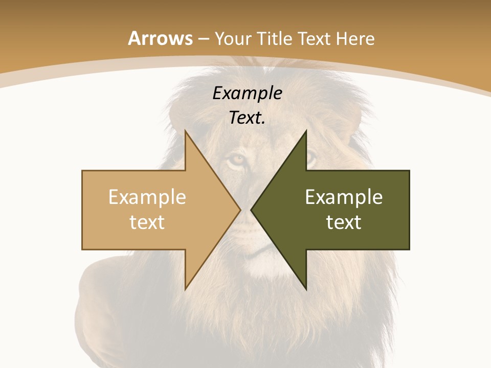 Animals Wildlife Predator PowerPoint Template