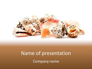 Shell Clam Isolated PowerPoint Template