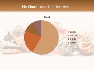 Shell Clam Isolated PowerPoint Template