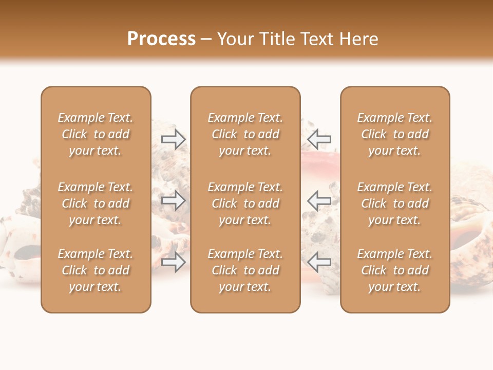 Shell Clam Isolated PowerPoint Template
