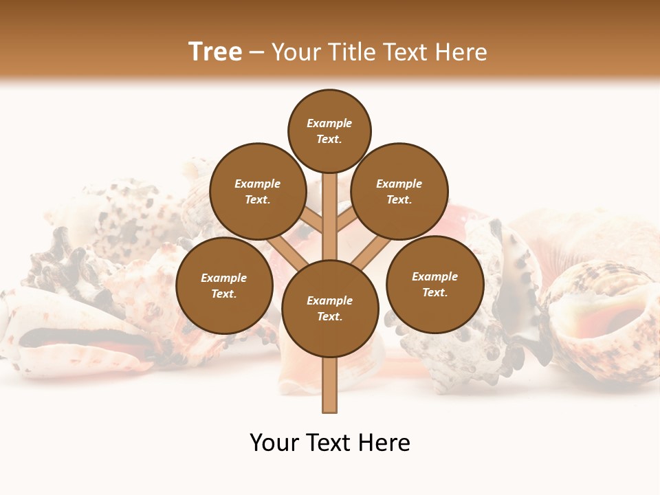 Shell Clam Isolated PowerPoint Template