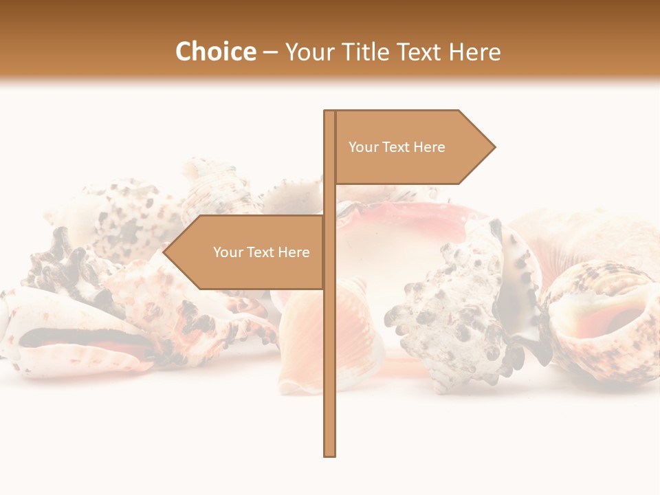 Shell Clam Isolated PowerPoint Template