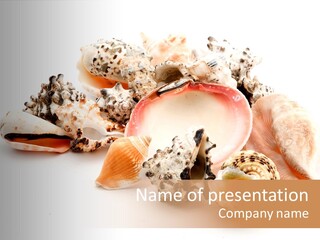 Fish Shellfish Ocean PowerPoint Template