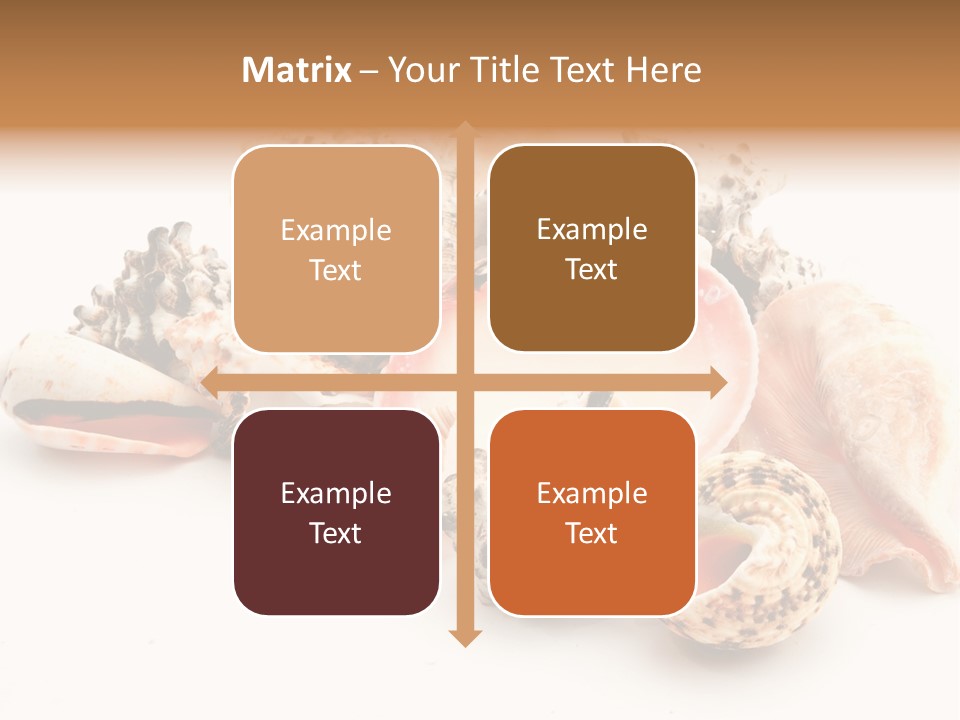 Fish Shellfish Ocean PowerPoint Template