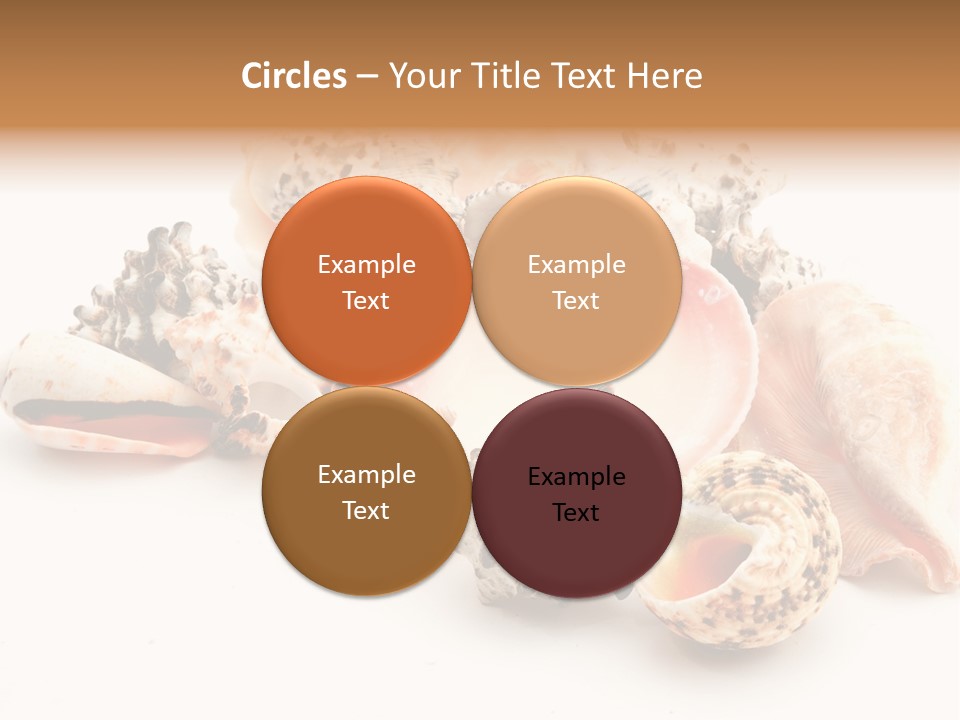 Fish Shellfish Ocean PowerPoint Template