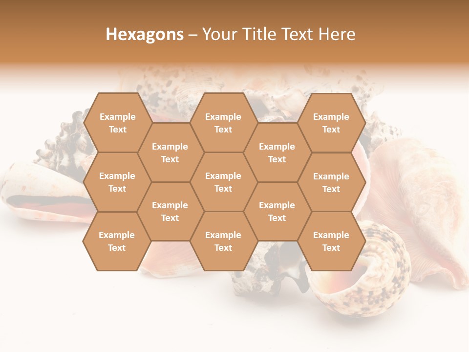 Fish Shellfish Ocean PowerPoint Template