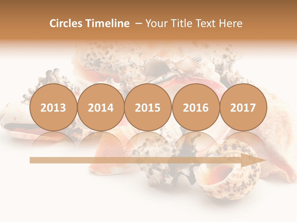 Fish Shellfish Ocean PowerPoint Template