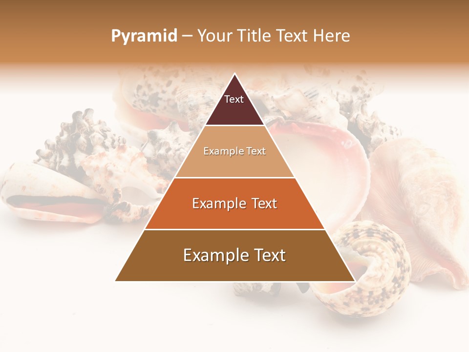 Fish Shellfish Ocean PowerPoint Template