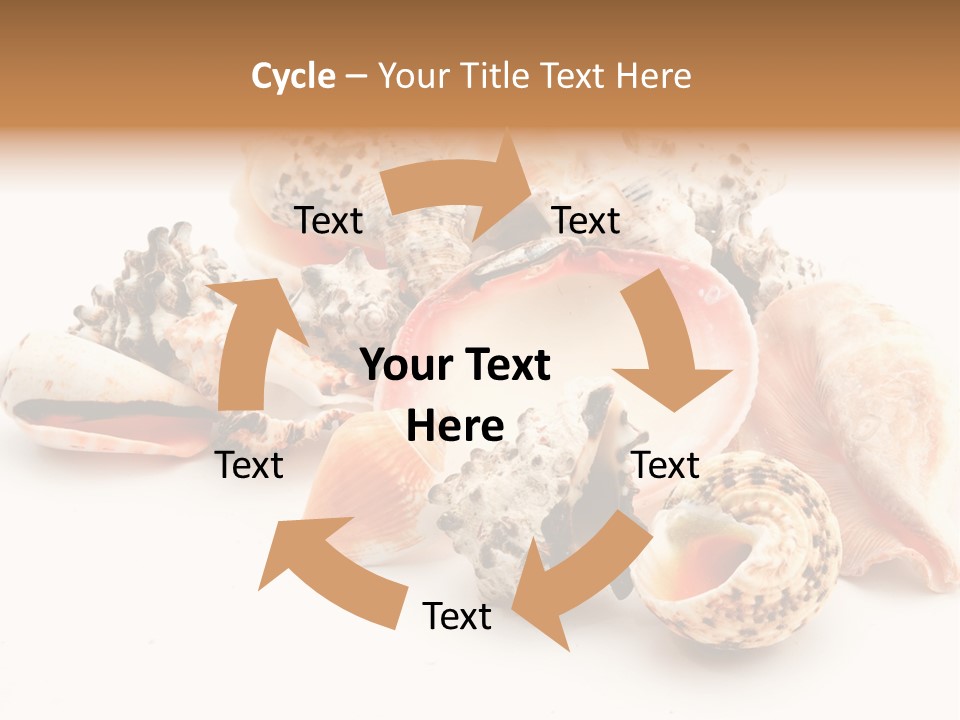 Fish Shellfish Ocean PowerPoint Template