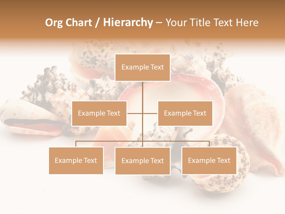 Fish Shellfish Ocean PowerPoint Template