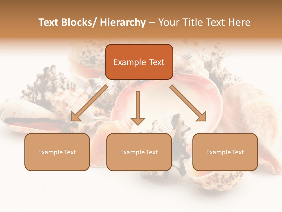 Fish Shellfish Ocean PowerPoint Template