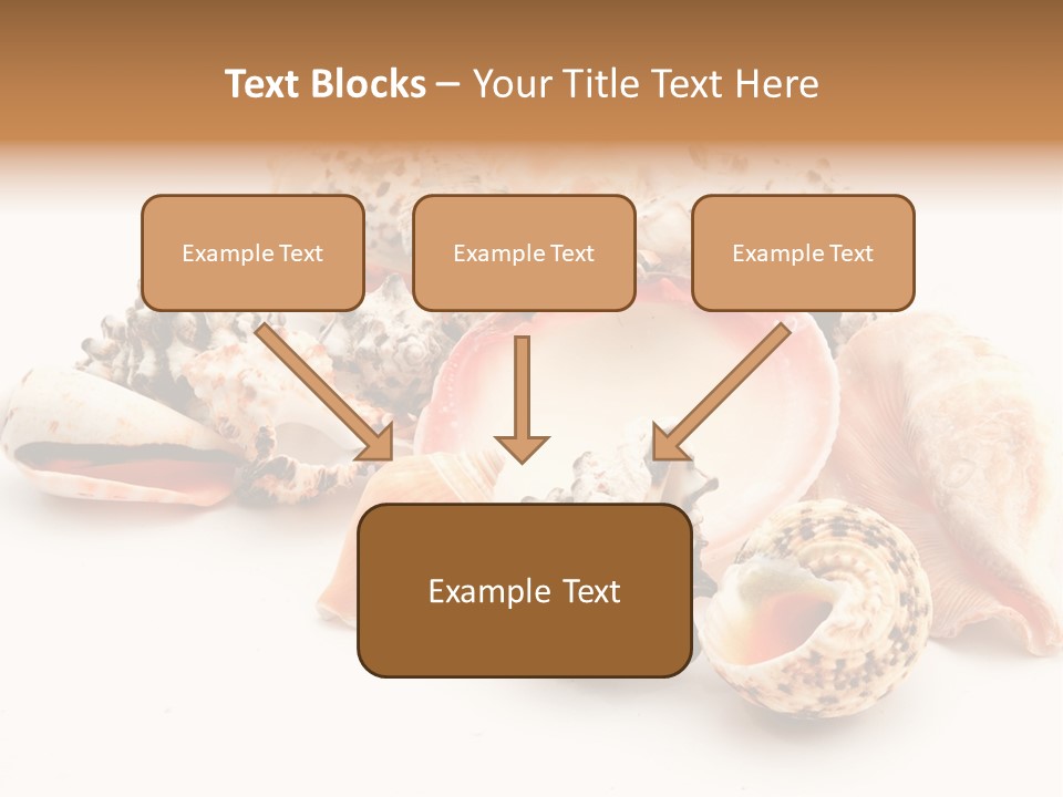 Fish Shellfish Ocean PowerPoint Template