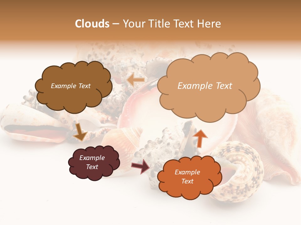 Fish Shellfish Ocean PowerPoint Template