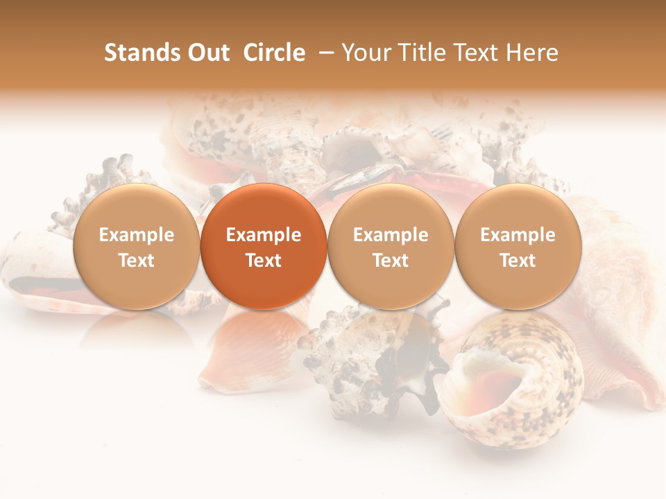 Fish Shellfish Ocean PowerPoint Template