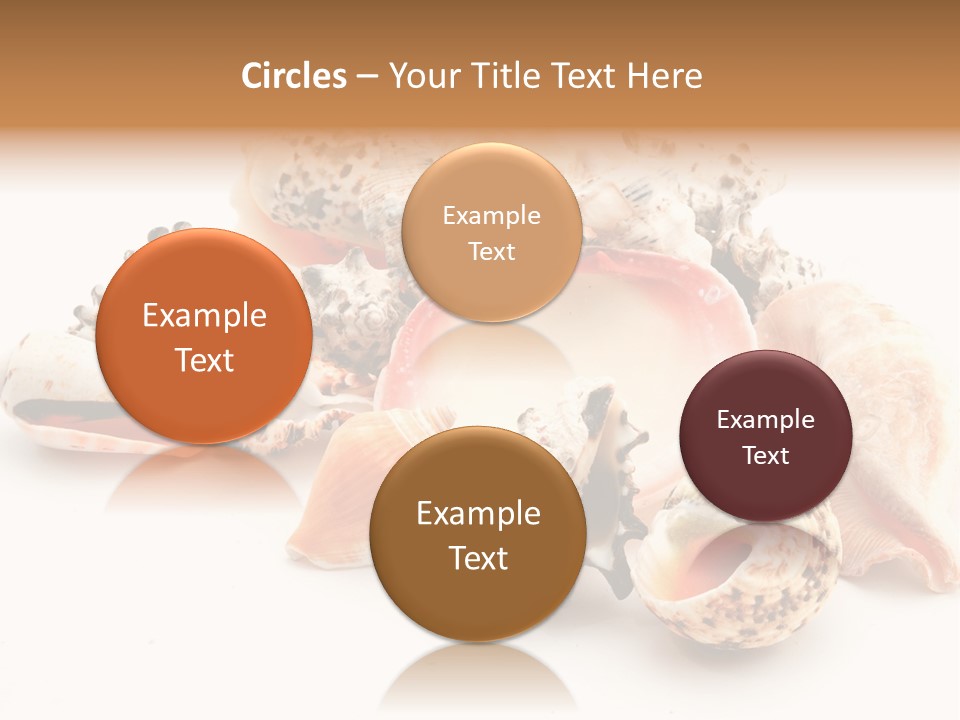 Fish Shellfish Ocean PowerPoint Template