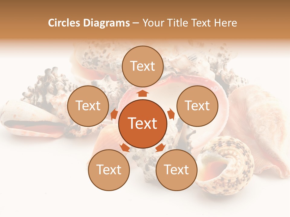 Fish Shellfish Ocean PowerPoint Template