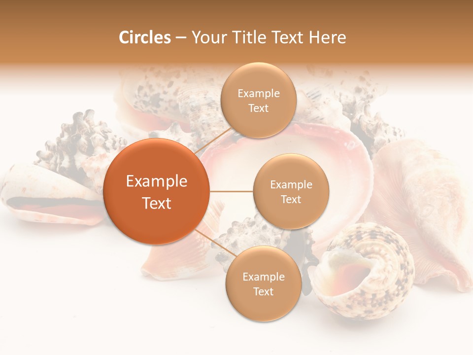 Fish Shellfish Ocean PowerPoint Template