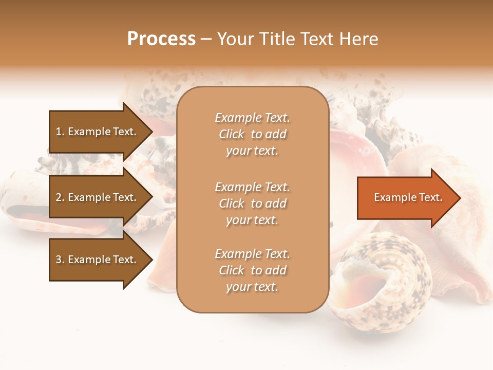 Fish Shellfish Ocean PowerPoint Template