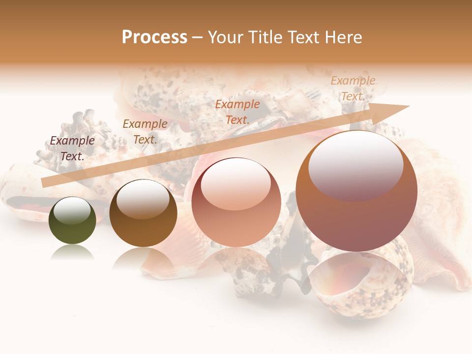 Fish Shellfish Ocean PowerPoint Template