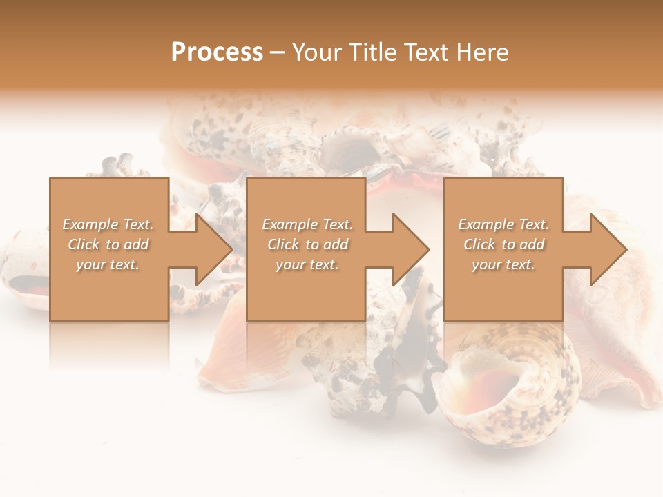 Fish Shellfish Ocean PowerPoint Template