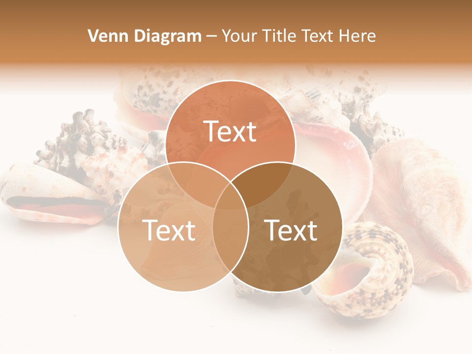 Fish Shellfish Ocean PowerPoint Template