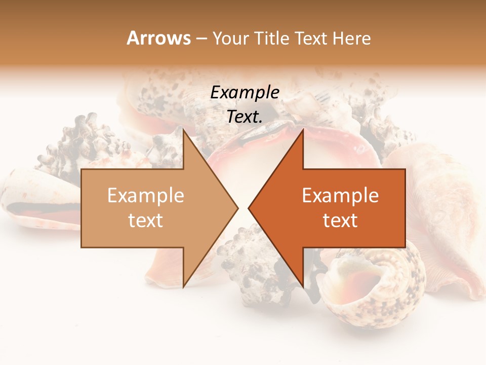 Fish Shellfish Ocean PowerPoint Template