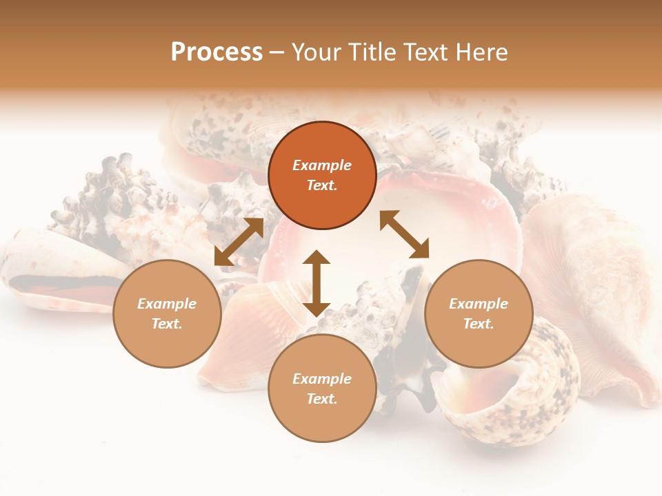 Fish Shellfish Ocean PowerPoint Template