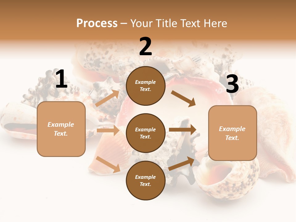 Fish Shellfish Ocean PowerPoint Template