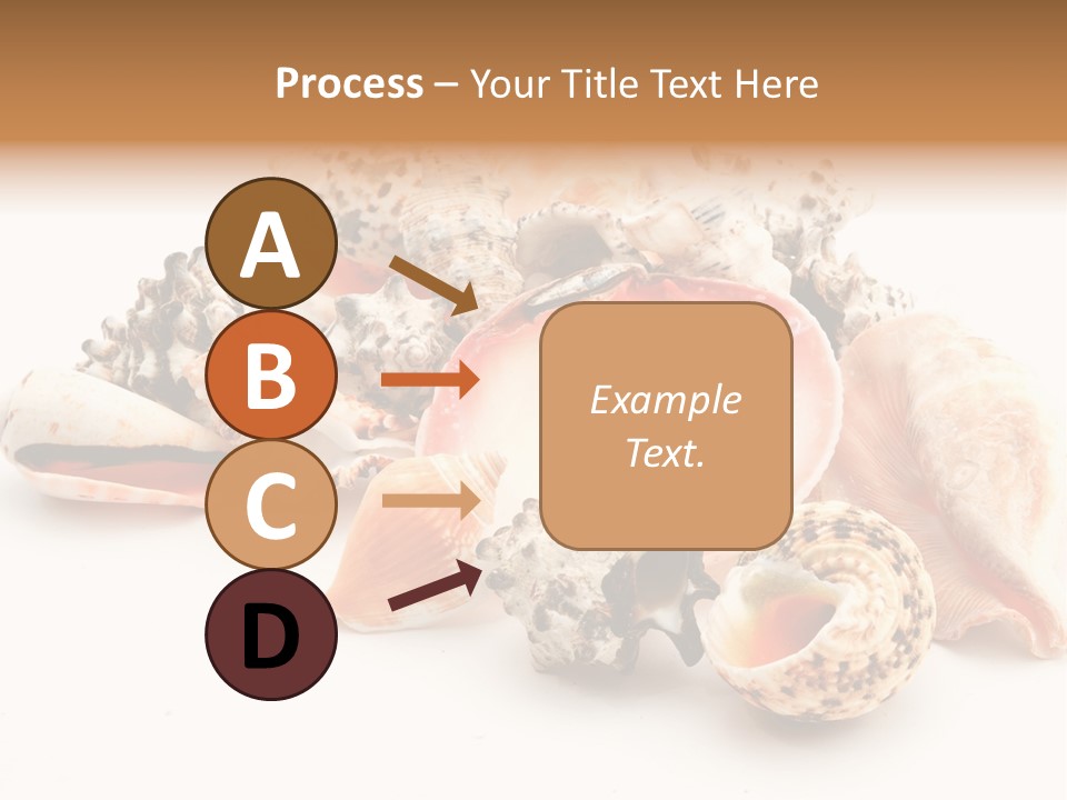 Fish Shellfish Ocean PowerPoint Template