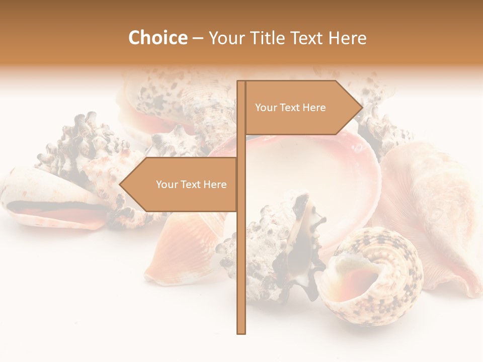 Fish Shellfish Ocean PowerPoint Template