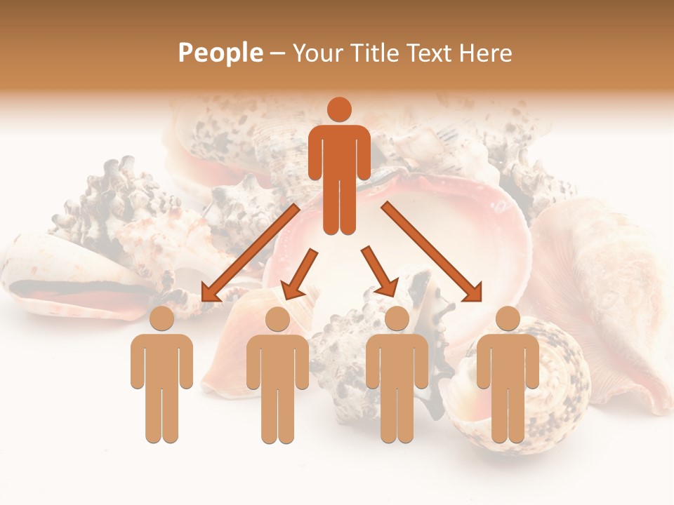 Fish Shellfish Ocean PowerPoint Template