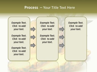Food Ripe Healthy PowerPoint Template