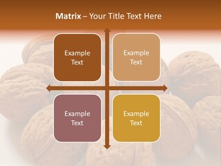 Nut Background Walnut PowerPoint Template