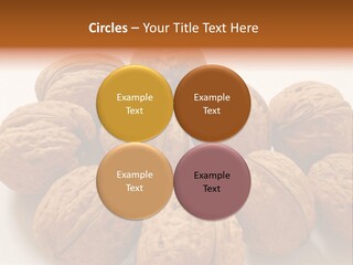 Nut Background Walnut PowerPoint Template