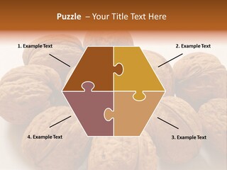 Nut Background Walnut PowerPoint Template