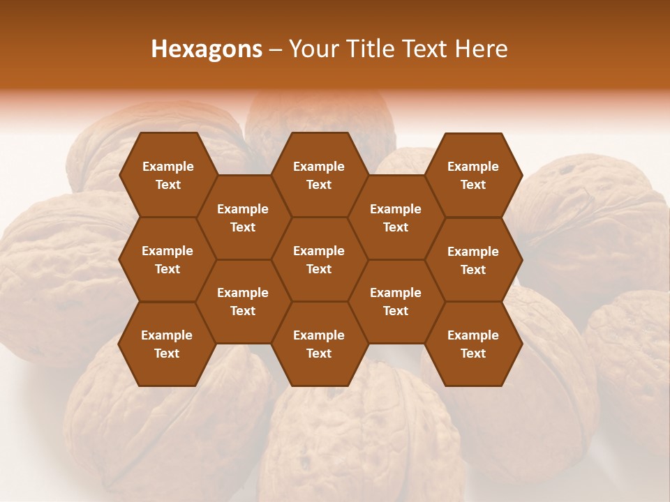 Nut Background Walnut PowerPoint Template
