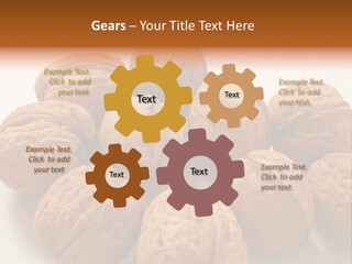 Nut Background Walnut PowerPoint Template